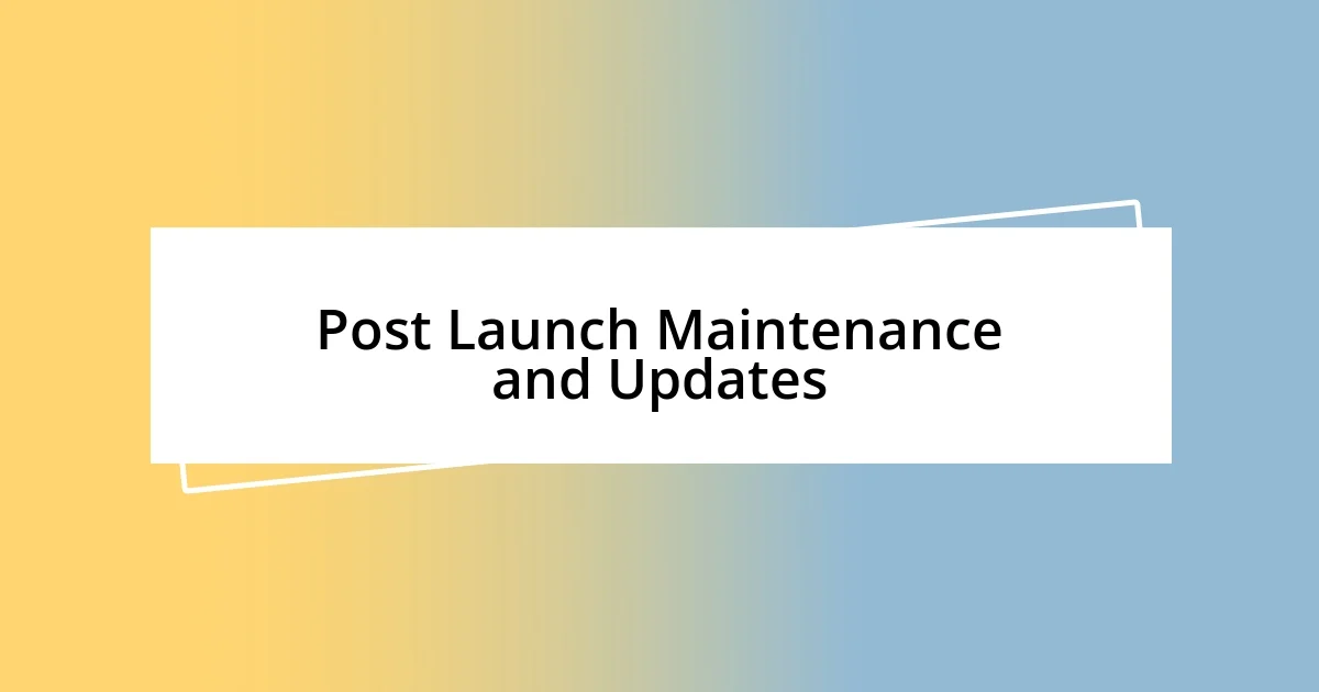 Post Launch Maintenance and Updates