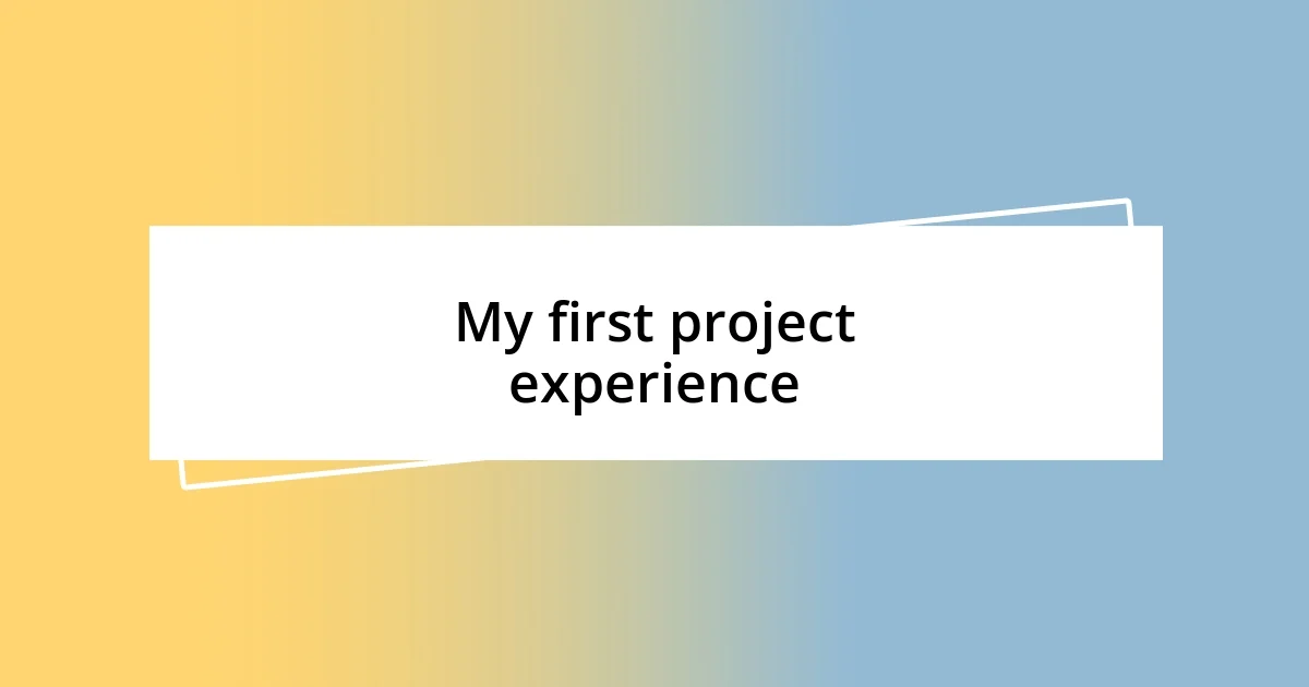 My first project experience