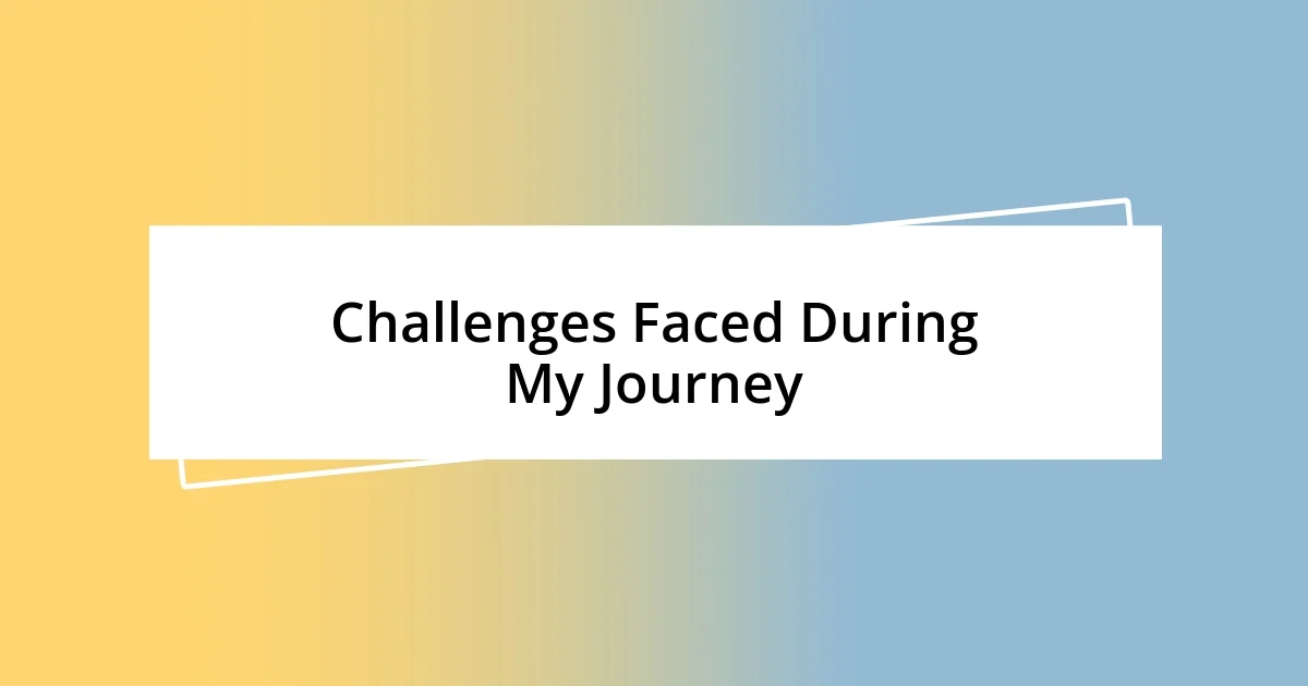 Challenges Faced During My Journey